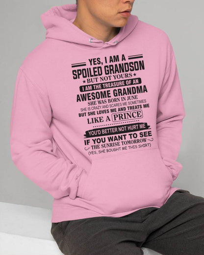 JUNE - YES, I AM A SPOILED GRANDSON BUT NOT YOURS I AM THE TREASURE OF AN AWESOME GRANDMA - FROM GRANDMA - TLEE06 (SKU10-57-06)