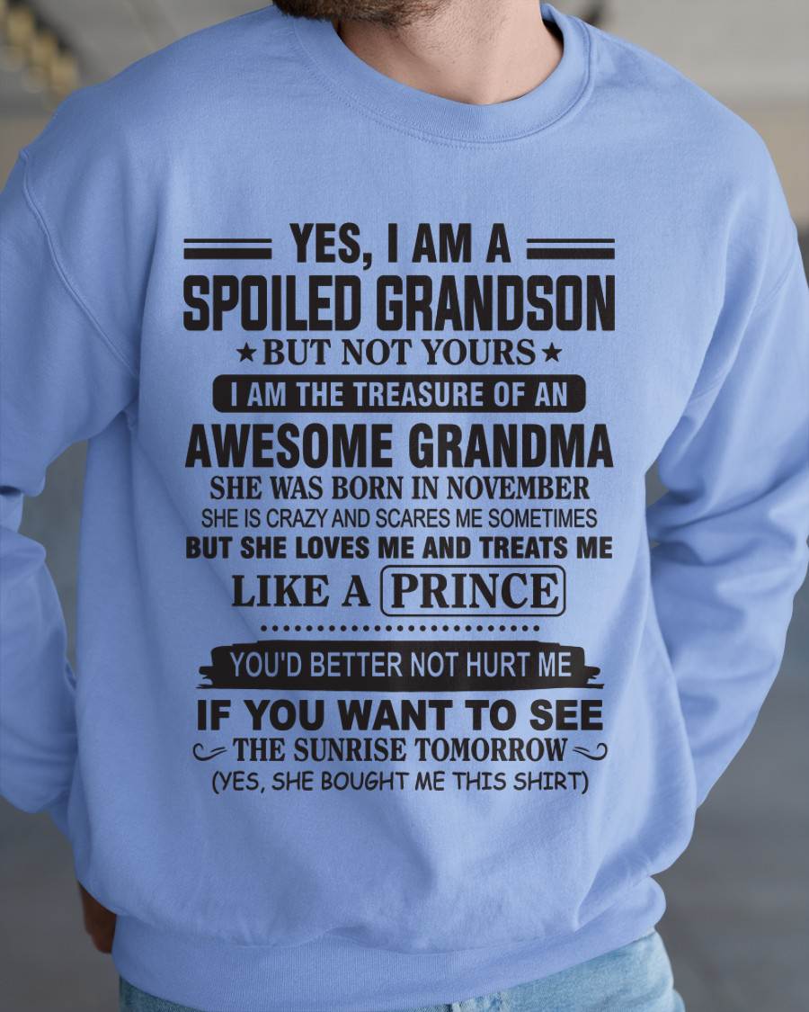 NOVEMBER - YES, I AM A SPOILED GRANDSON BUT NOT YOURS I AM THE TREASURE OF AN AWESOME GRANDMA - FROM GRANDMA - TLEE11 (SKU10-57-11)
