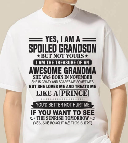NOVEMBER - YES, I AM A SPOILED GRANDSON BUT NOT YOURS I AM THE TREASURE OF AN AWESOME GRANDMA - FROM GRANDMA - TLEE11 (SKU10-57-11)