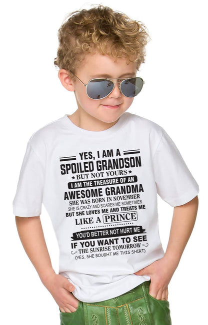 NOVEMBER - YES, I AM A SPOILED GRANDSON BUT NOT YOURS I AM THE TREASURE OF AN AWESOME GRANDMA - FROM GRANDMA - TLEE11 (SKU10-57-11)